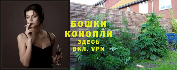 амф Инсар