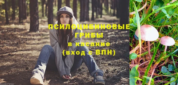 амф Инсар