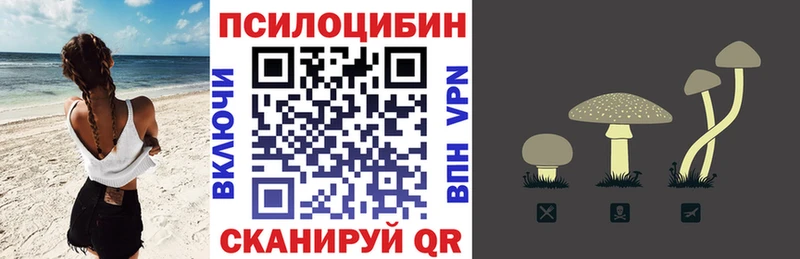 Купить  Вязьма  Галлюциногенные грибы прущие грибы 