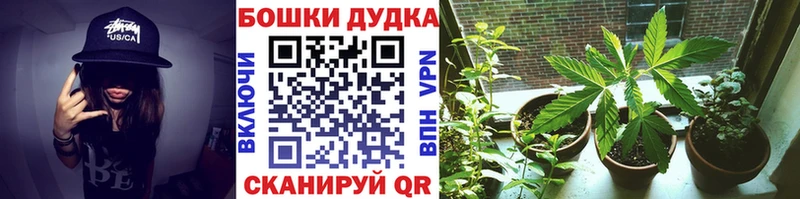 Купить Вязьма Каннабис конопля